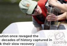 Scientist Aubrey Hillman, one of the authors of this article, extracts a core of mud from the bottom of Black Pond in June 2025. Patrick Dodson/University at Albany